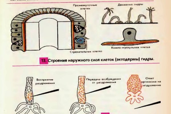 Кракен даркнет kraken link24 info